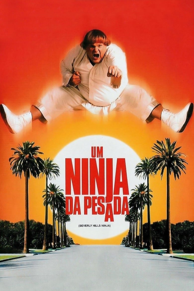 Um Ninja da Pesada